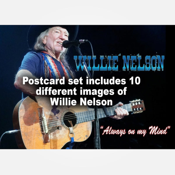 willie nelson electric guitar